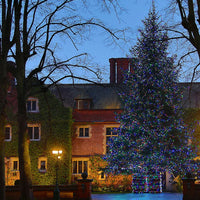 Core Connect koppelbare Lichterketten mit bunten LEDs an einem großen Weihnachtsbaum im Außenbereich