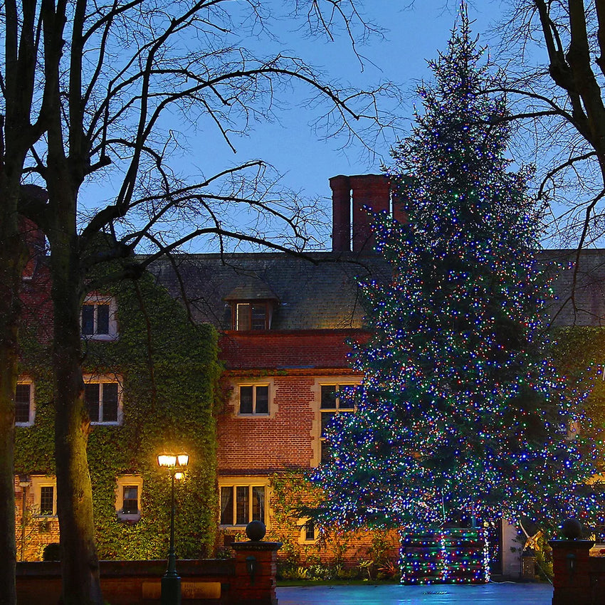 Core Connect koppelbare Lichterketten mit bunten LEDs an einem großen Weihnachtsbaum im Außenbereich