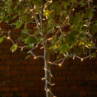 Pro Connect koppelbare Lichterkette mit warmweißen LEDs um einen Baum im Garten