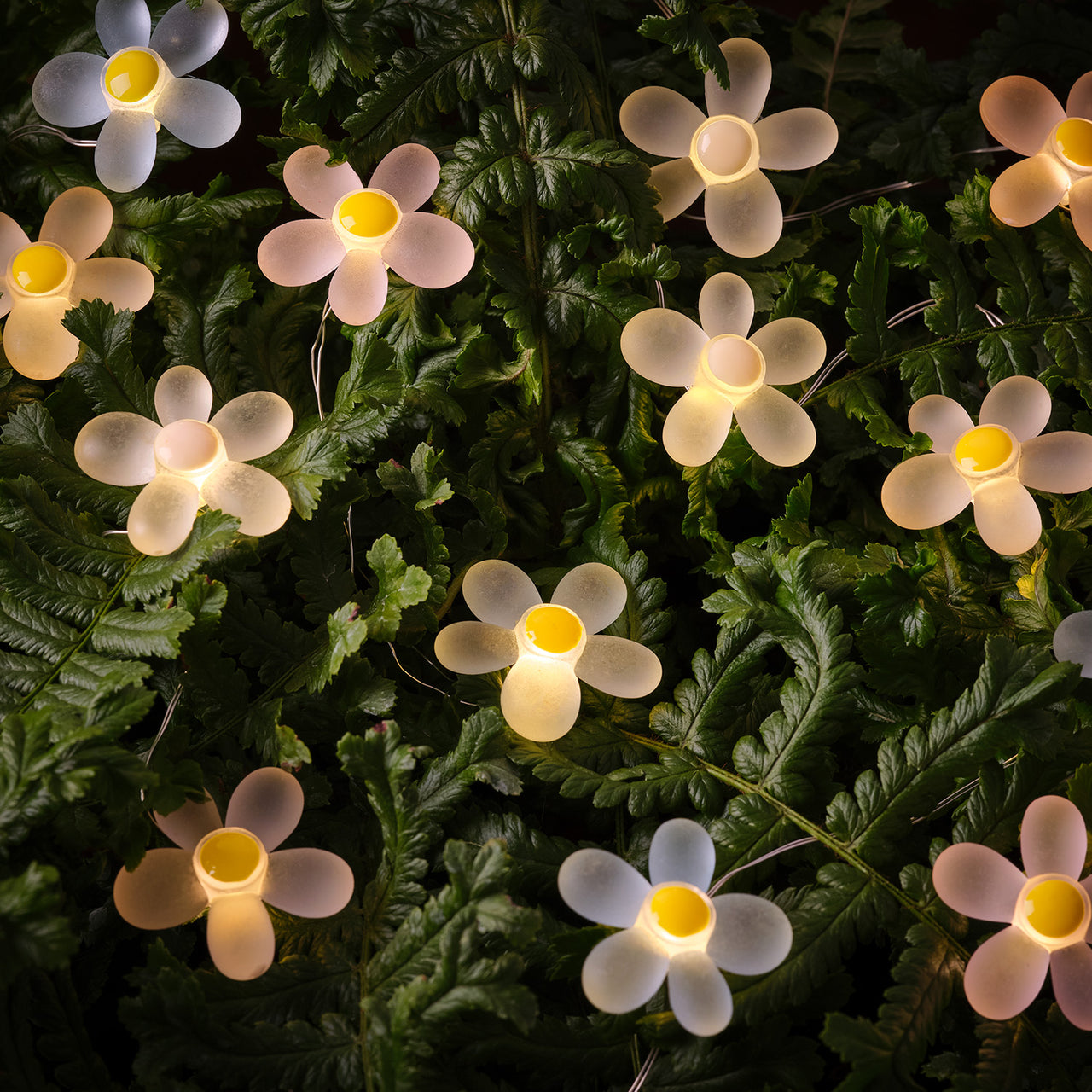 20er LED Micro Lichterkette außen Gänseblümchen