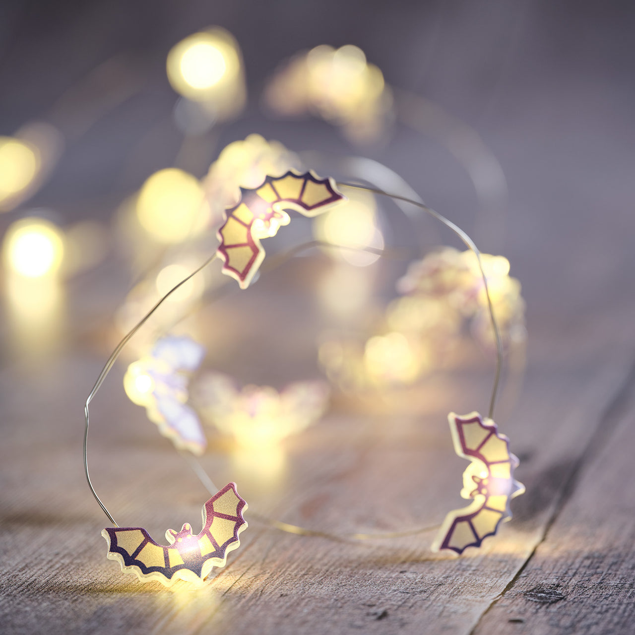 D-DOME-HA25002-Halloween-Set_Glaskuppel_mit_LED_Fledermaus-Lichterkette_4