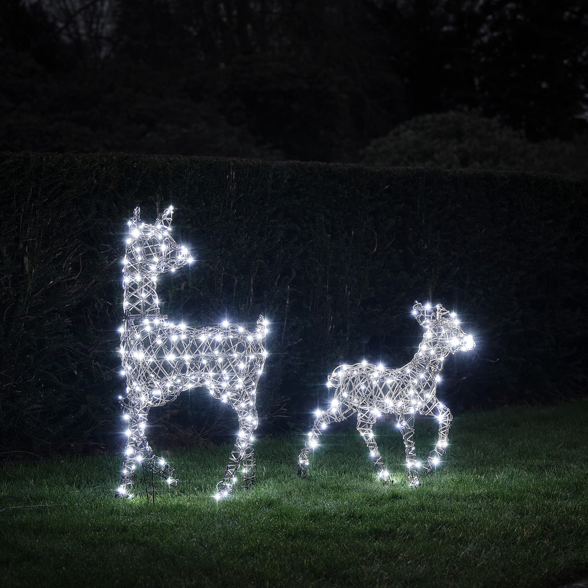 Solar-LED-Rentiere Hirschkuh und Rehkitz mit kaltweiß leuchtenden LEDs im Garten bei Nacht