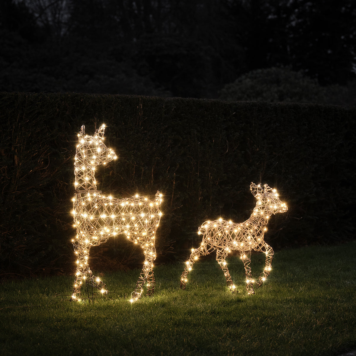 Solar-LED-Rentiere Hirschkuh und Rehkitz mit warmweiß leuchtenden LEDs im Garten bei Nacht