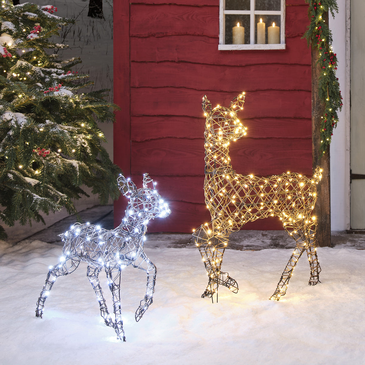 LED-Rentier Hirschkuh und Rehkitz mit warmweißen LEDs leuchtend im Schnee vor rotem Haus