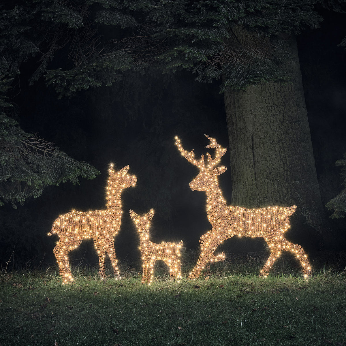 LED-Rentierfamilie aus Rattan mit warmweiß leuchtenden Hirsch, Hirschkuh und Rehkitz im Garten bei Nacht