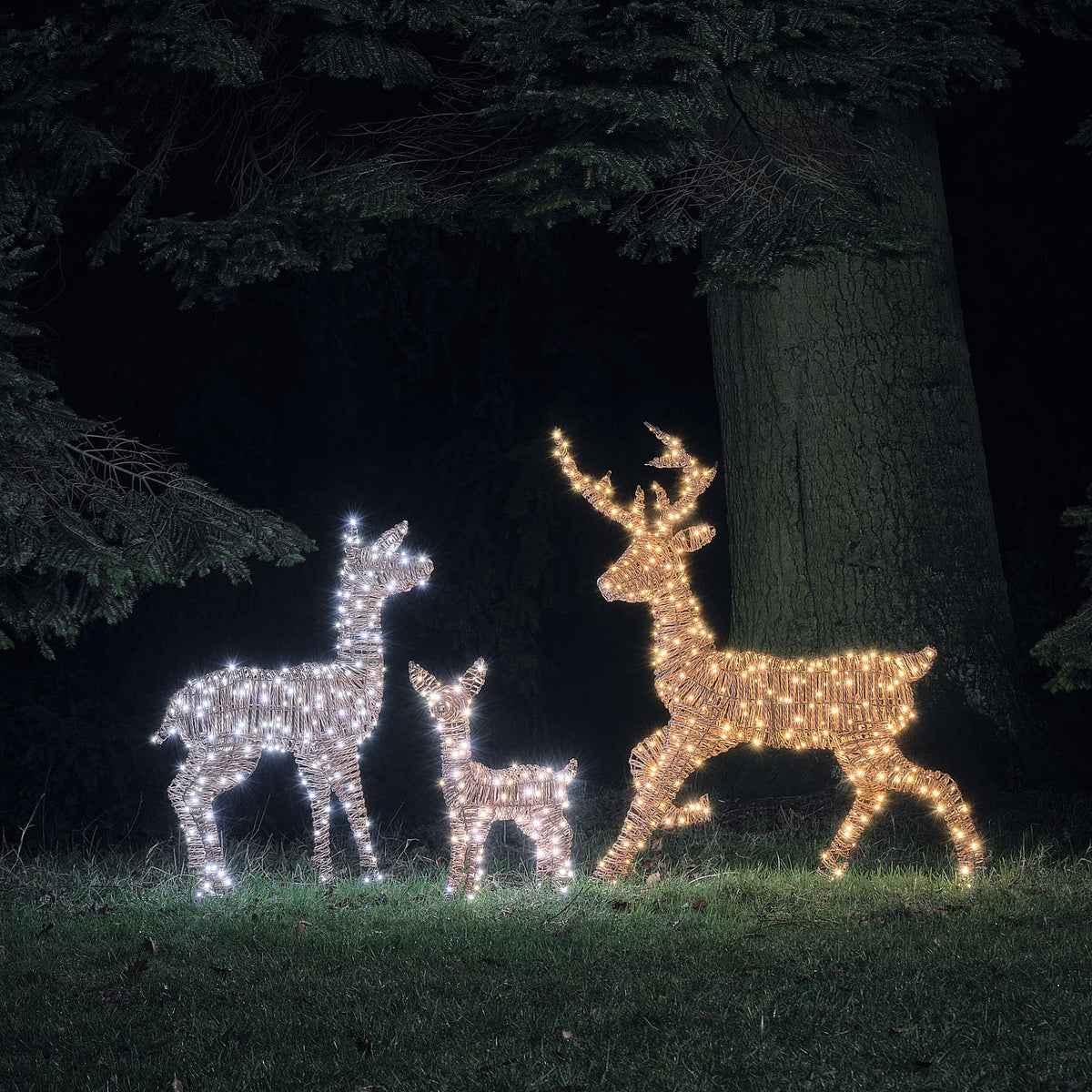 LED-Rentierfamilie aus Rattan mit Bicolor-Licht, Hirschkuh in weißem Licht, Hirsch und Rehkitz warmweiß leuchtend