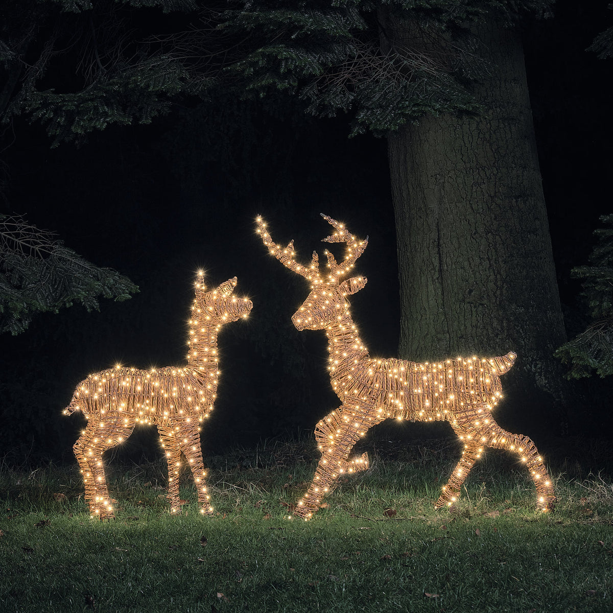 Beleuchtetes LED-Rentier-Duo Hirsch und Hirschkuh in Rattanoptik bei Nacht im Garten
