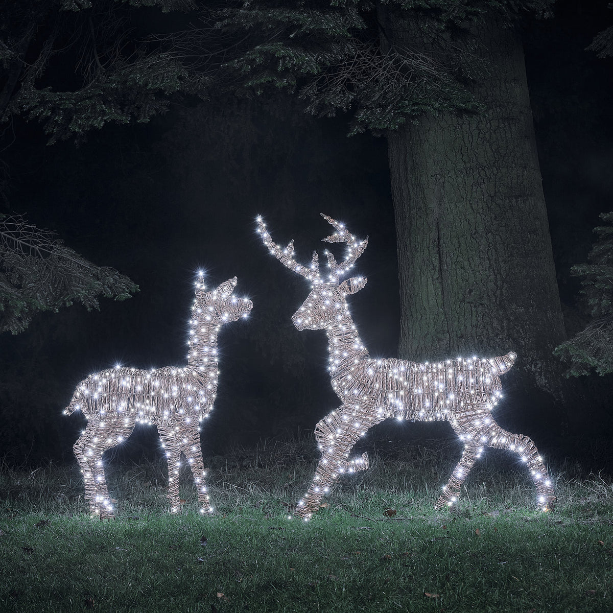 LED-Rentiere Hirsch und Hirschkuh in Rattanoptik mit warmweißem Licht im Garten bei Nacht