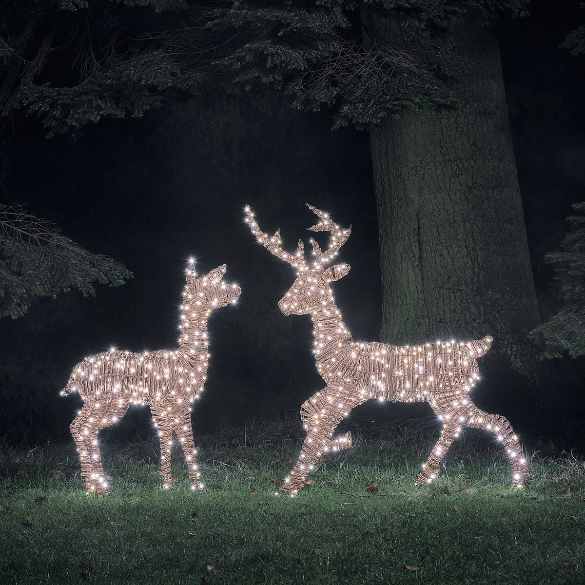LED-Rentiere Hirsch und Hirschkuh in Rattanoptik mit weißem Licht im Garten bei Nacht