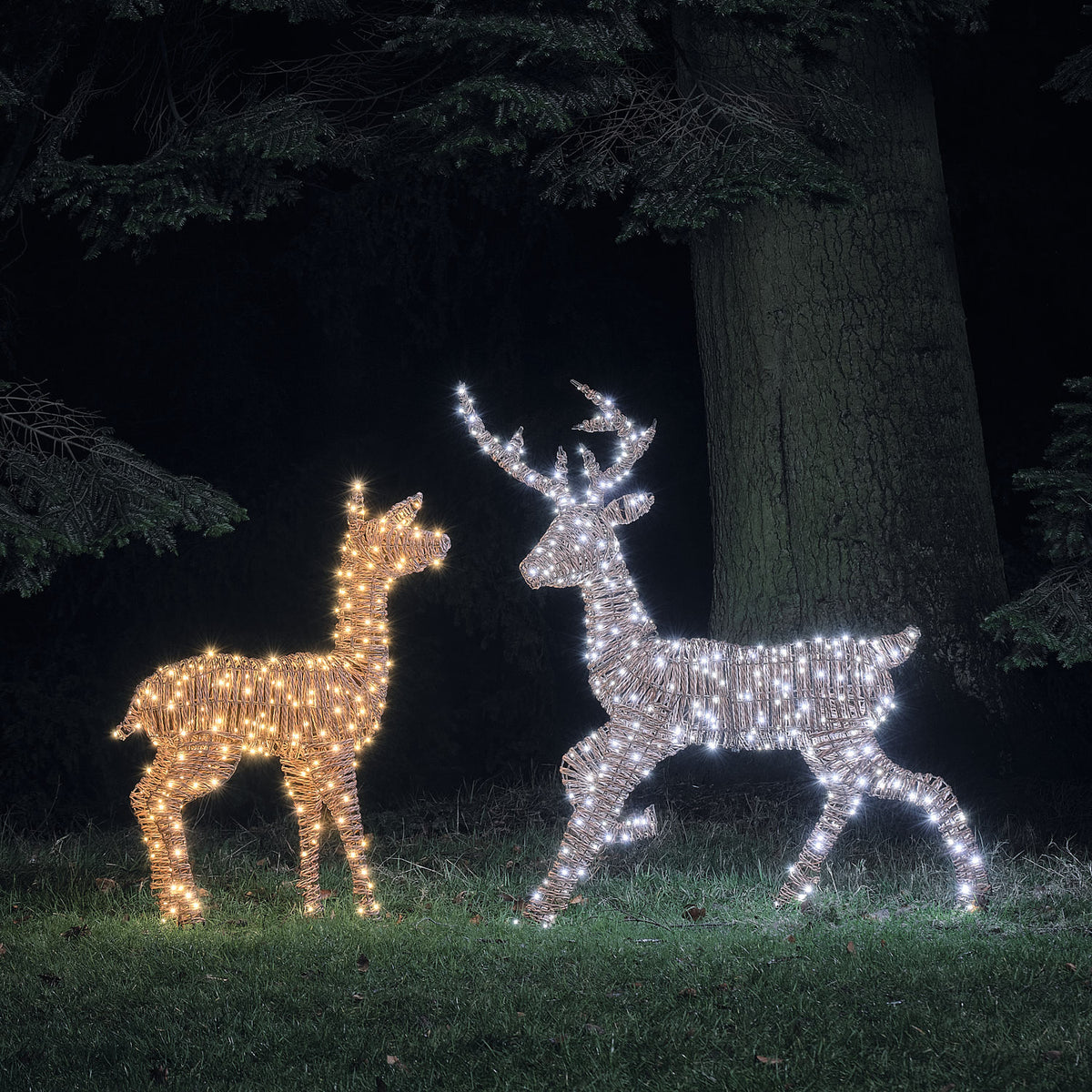 LED-Rentiere Hirsch und Hirschkuh in Rattanoptik mit gemischtem Bicolor-Licht im Garten bei Nacht