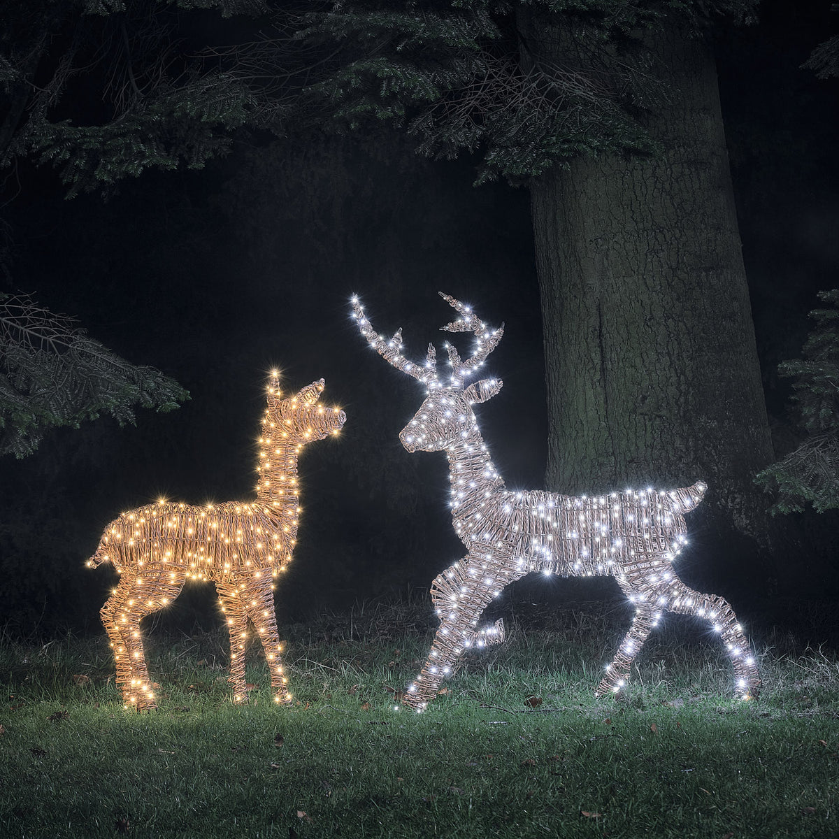 LED-Rentiere Hirsch und Hirschkuh in Rattanoptik mit weißem Licht im Garten bei Nacht