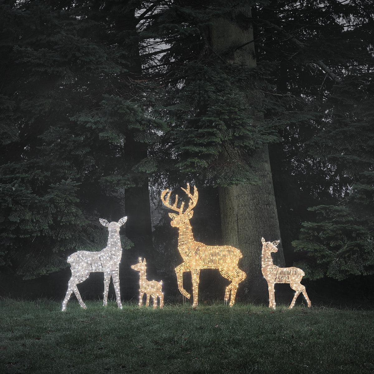 LED-Rentiere in Bicolor-Warmweiß leuchten auf einer Wiese vor Tannenbäumen
