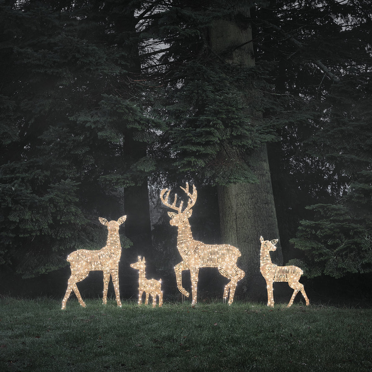 LED-Rentiere in Bicolor-Warmweiß leuchten auf einer Wiese vor Tannenbäumen