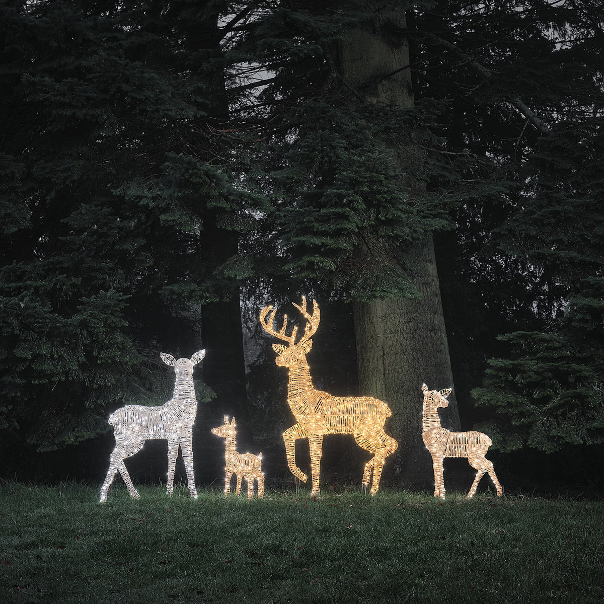 Leuchtende LED-Rentier- und Rehkitzfiguren aus Rattan im Wald bei Nacht
