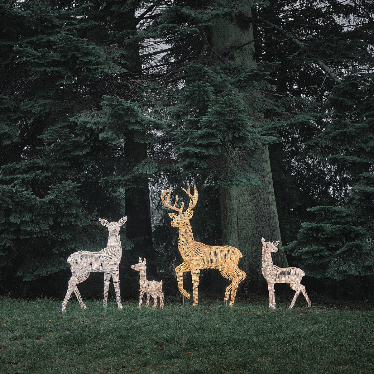 LED-Rentier-Familie mit Bicolor-LEDs, Hirsch leuchtet warmweiß, umgeben von weiteren Rentierfiguren