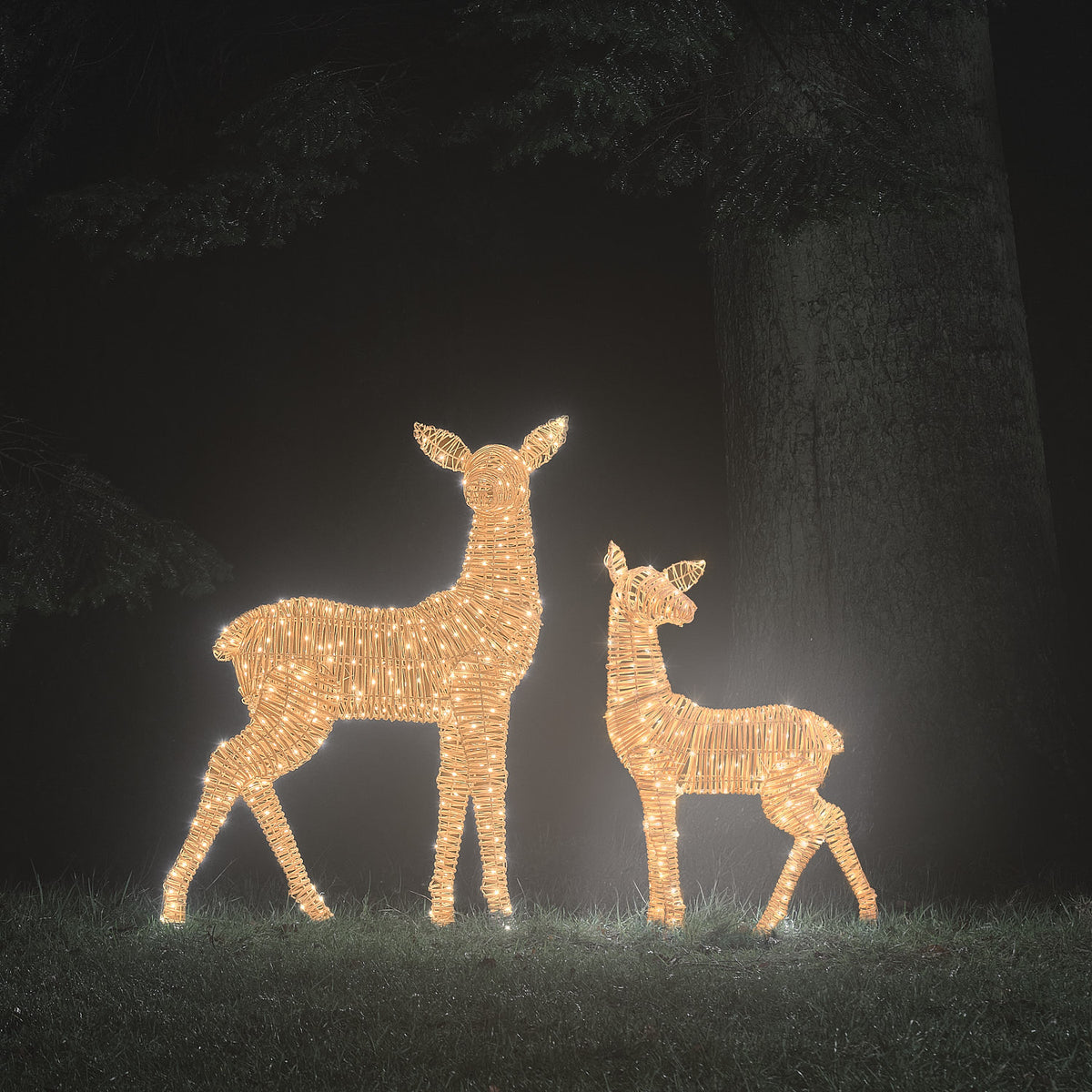 Leuchtendes LED-Rentier-Set mit Hirschkuh und Rehkitz in warmweißem Licht bei Nacht