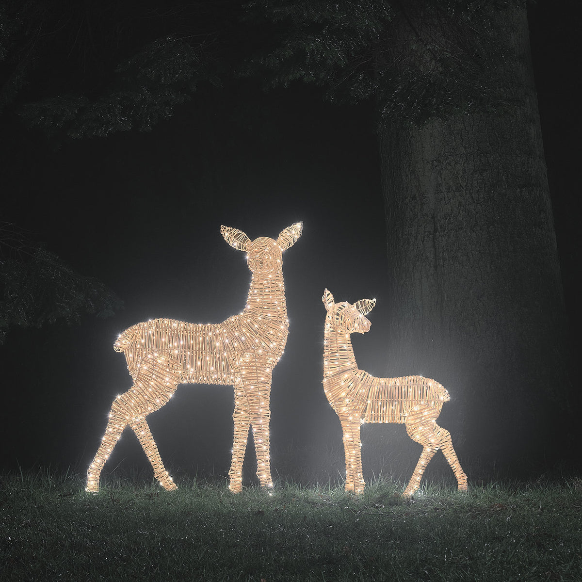 LED-Rentier-Set mit Hirschkuh und Rehkitz in warmweißem Licht vor dunklem Baum bei Nacht