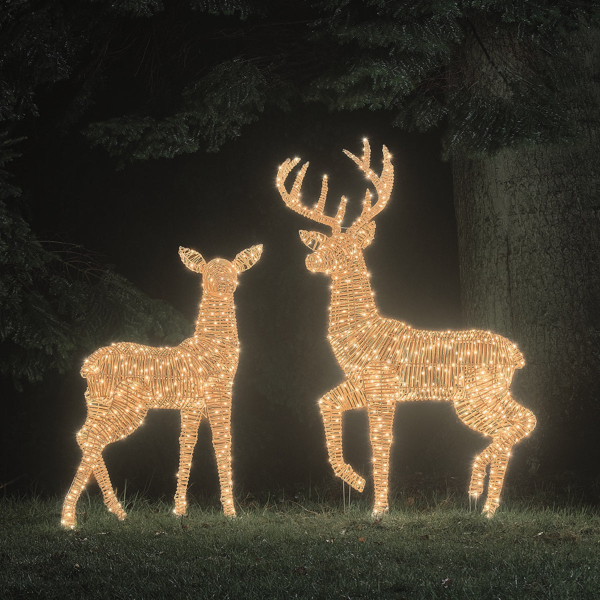 LED-Rentiere Hirsch und Hirschkuh in warmweißem Licht vor dunklem Wald bei Nacht