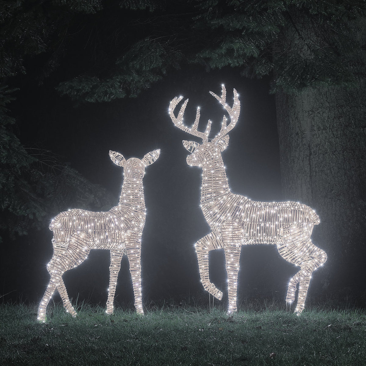 LED-Rentiere Hirsch und Hirschkuh in weißem Licht beleuchtet vor dunklem Wald bei Nacht