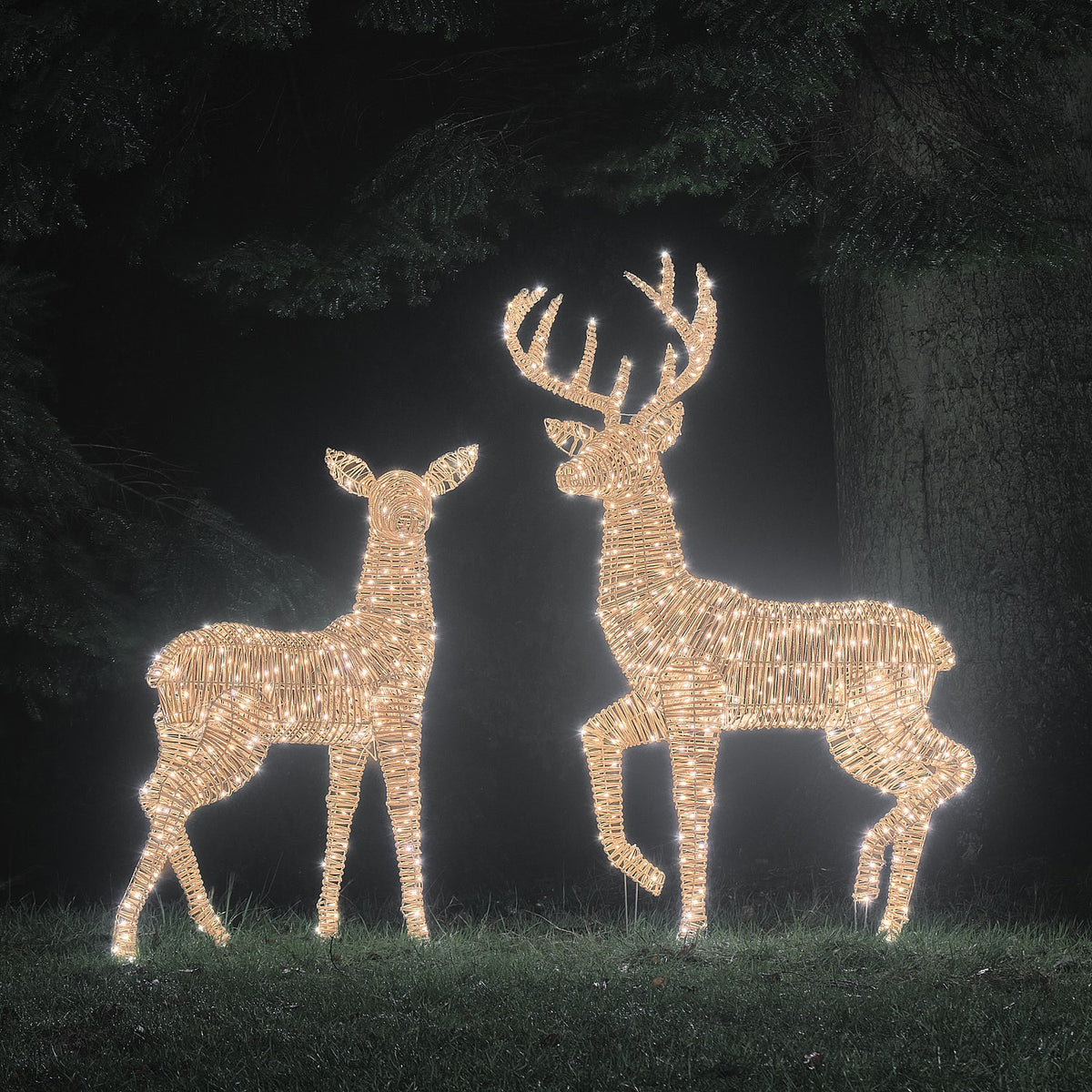 LED-Rentiere Hirsch und Hirschkuh in weißem Licht vor dunklem Wald bei Nacht