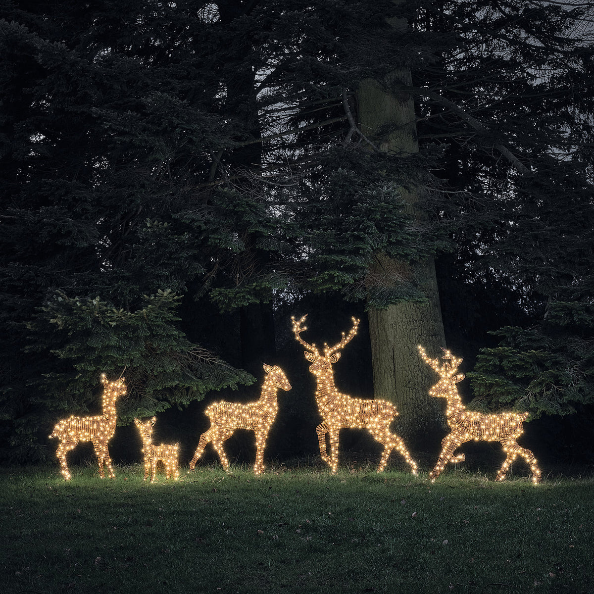 LED-Rentierfamilie mit warmweiß leuchtenden Mikro-LEDs im Garten bei Dämmerung
