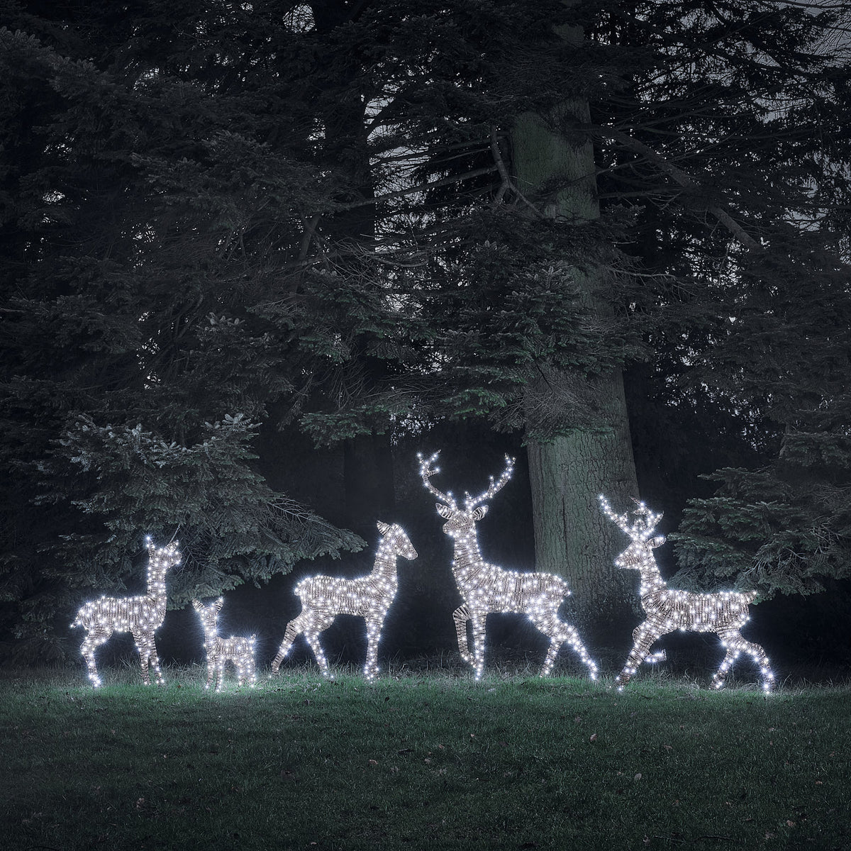 LED-Rentierfamilie mit klarweiß leuchtenden Mikro-LEDs im Garten vor großen Bäumen