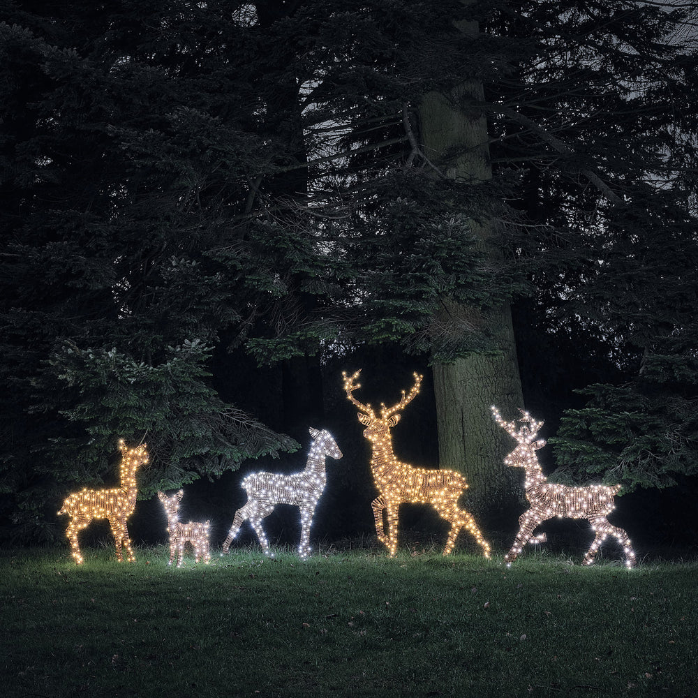 Fünf LED-Rentierfiguren in Rattan-Optik leuchten in warmweiß und weiß im Garten bei Nacht