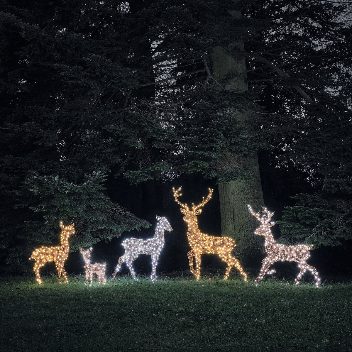 Pateley Bicolor LED-Rentierfamilie aus Rattan beleuchtet