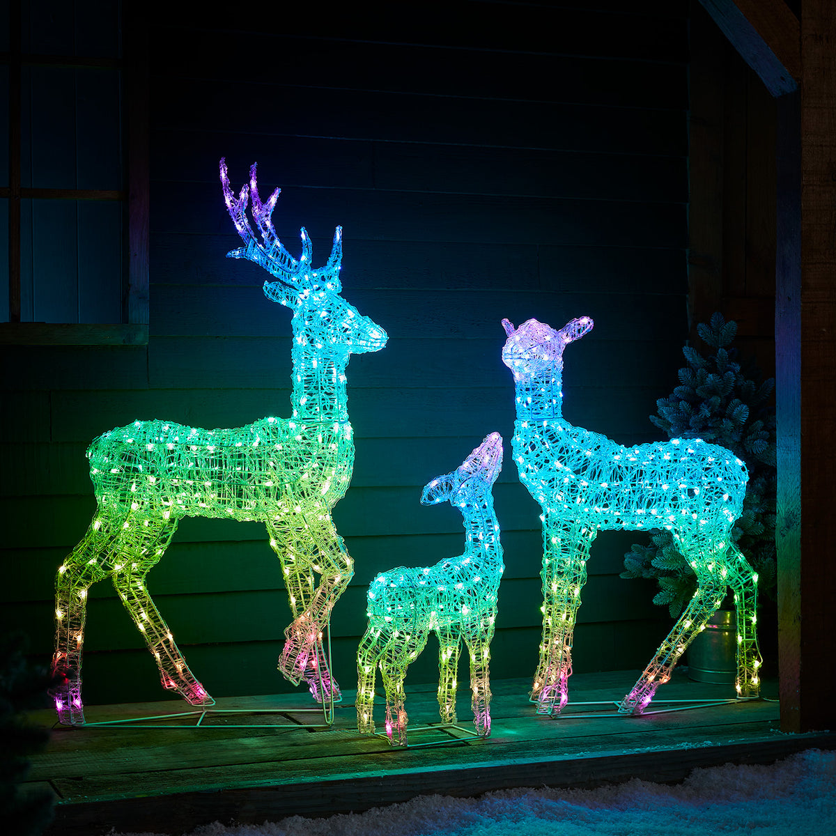 LED-Rentierfamilie grün und blau leuchtend vor dunkler Holzfassade auf Holzterrasse