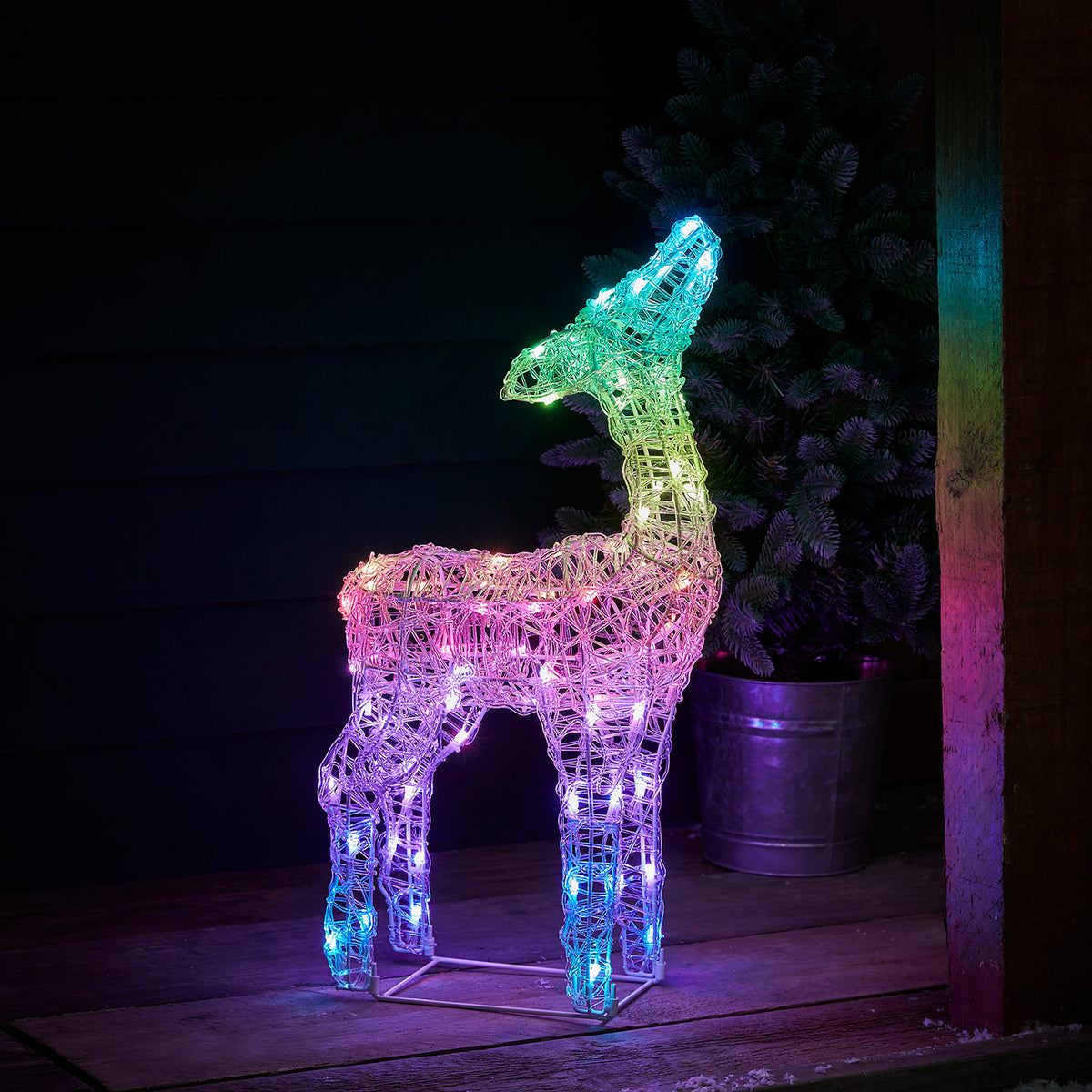 LED-Rehkitz mit bunt leuchtenden Mikro-LEDs vor dunkler Wand und Pflanze