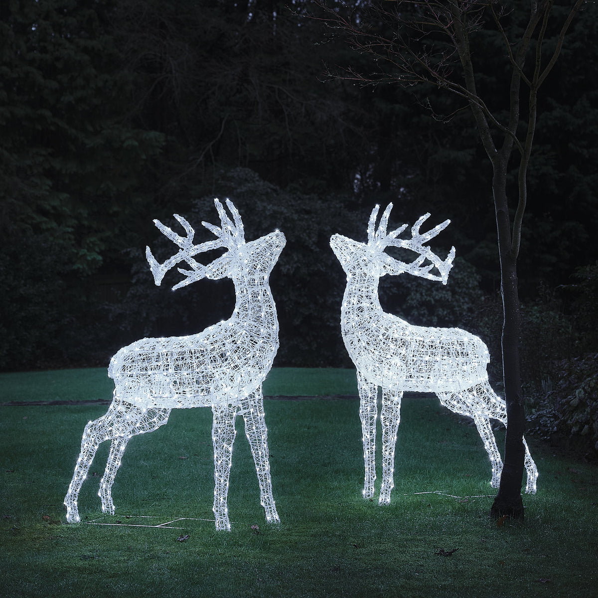 Zwei leuchtende LED-Hirschfiguren aus weißem Acryl mit warmweißem Licht im Garten