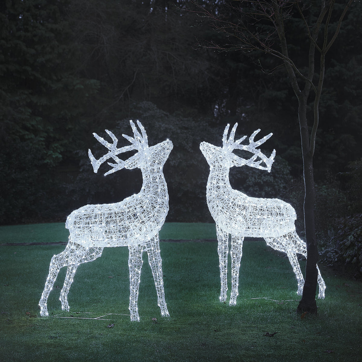 Zwei leuchtende LED-Hirschfiguren aus weißem Acryl mit warmweißem Licht im Garten