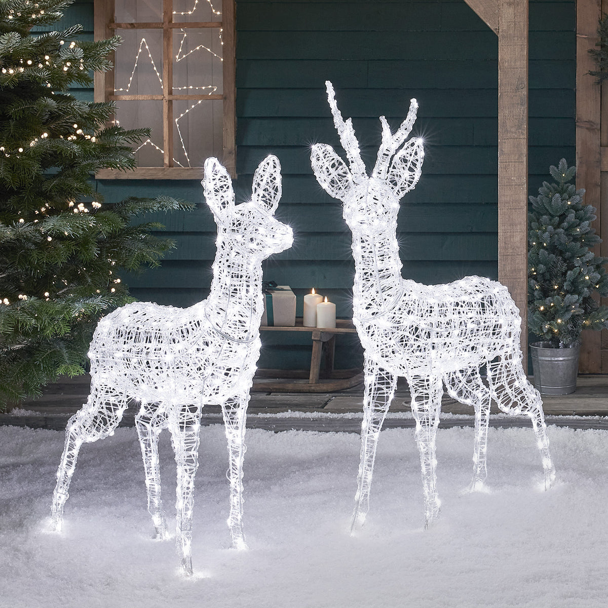 Zwei bicolore LED-Rentiere in kaltweiß leuchtend vor Hauswand mit Weihnachtsdeko