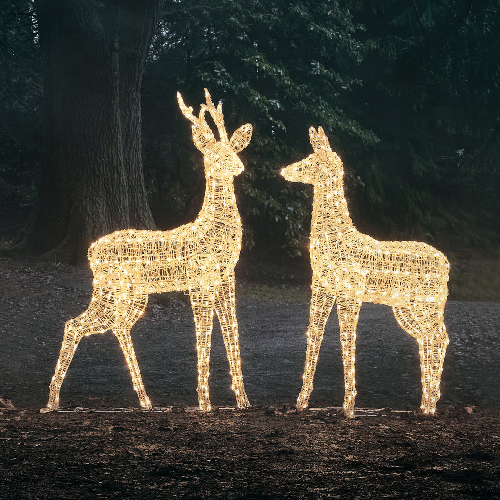 2er Set Bicolor LED-Rentiere Hirsch & Hirschkuh XL Swinsty
