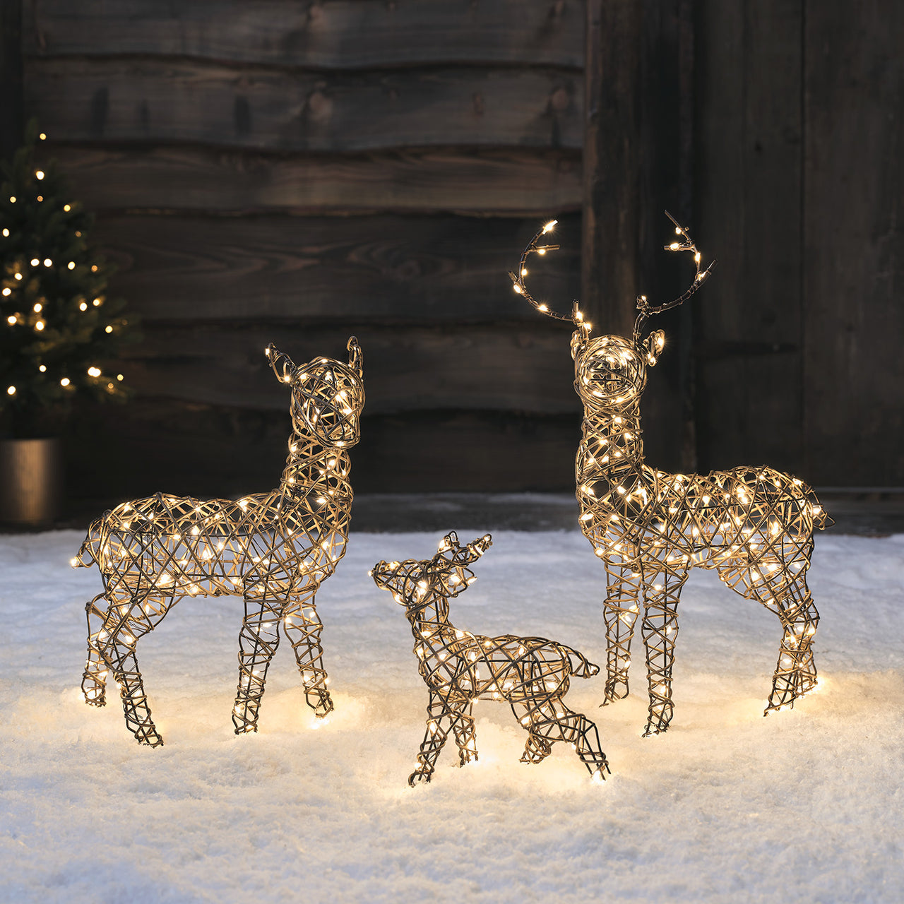 3er Set Mini LED-Rentierfamilie Studley
