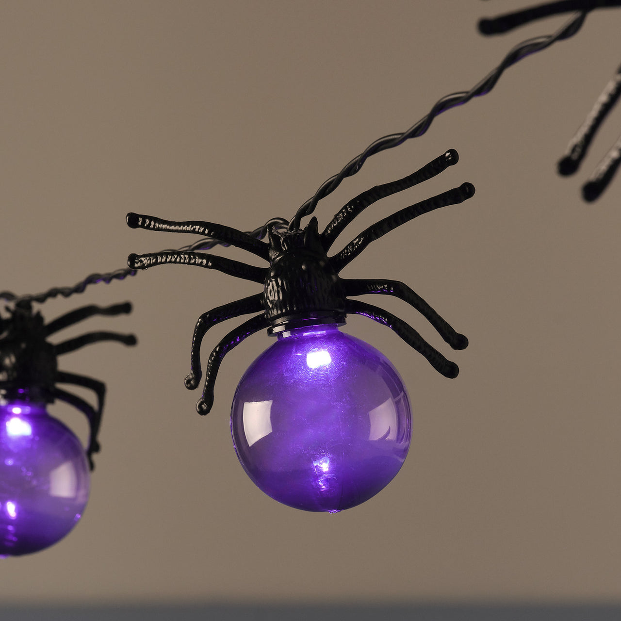 10er Spinnen lila LED-Lichterkette Halloween mit Timer Nahaufnahme eingeschaltet