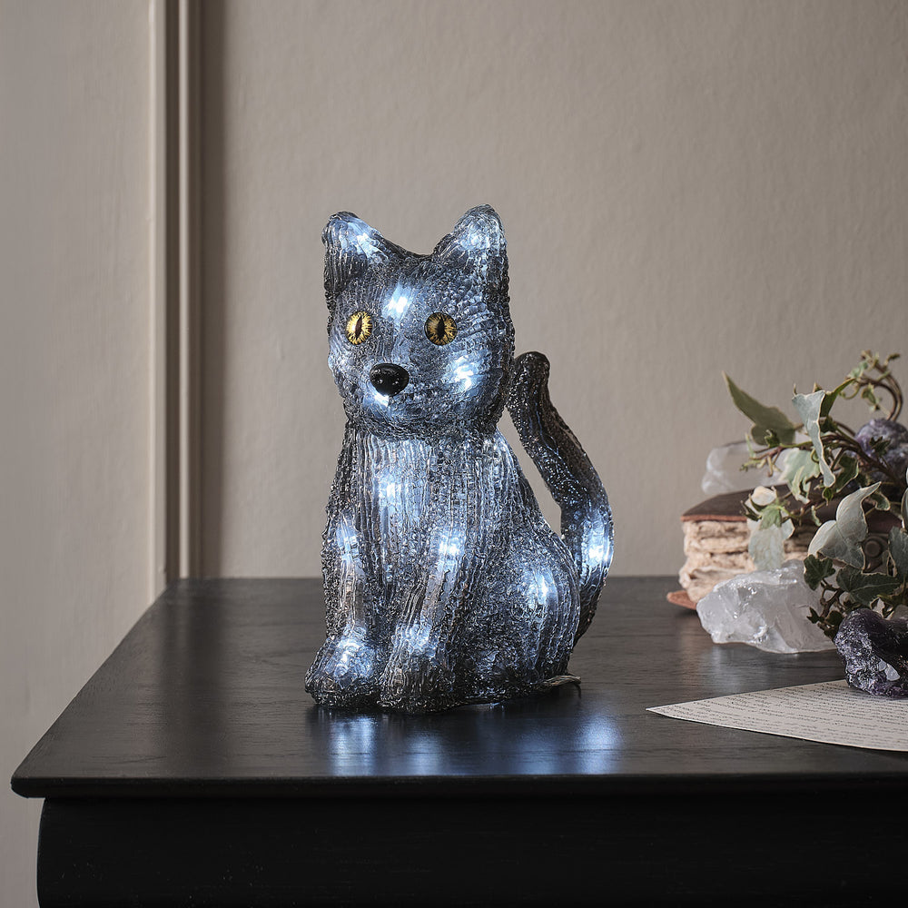 "Jet" die LED-Halloween Katze für den Außenbereich beleuchtet