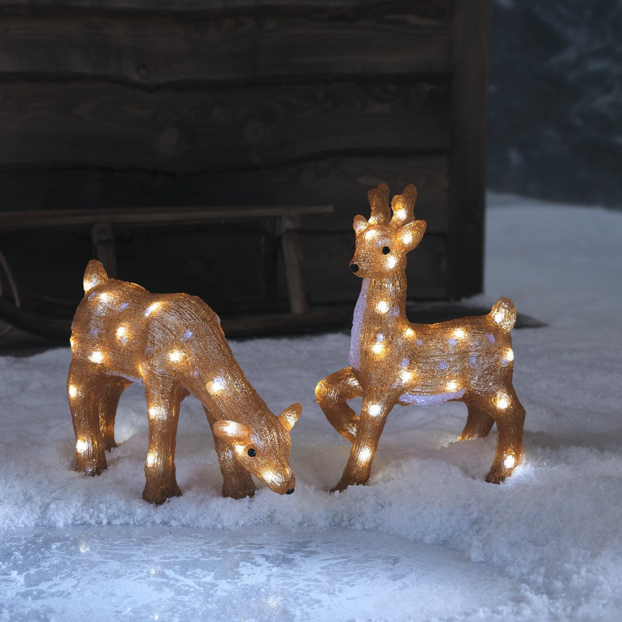 Grasendes Acryl LED-Rentier Hirschkuh