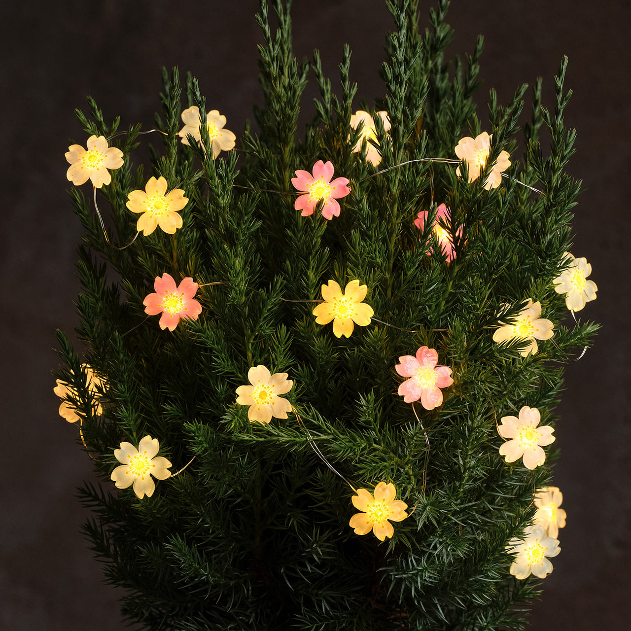 Batteriebetriebene LED‑Mikro‑Blumenlichterkette mit 20 Lichtern in Warmweiß