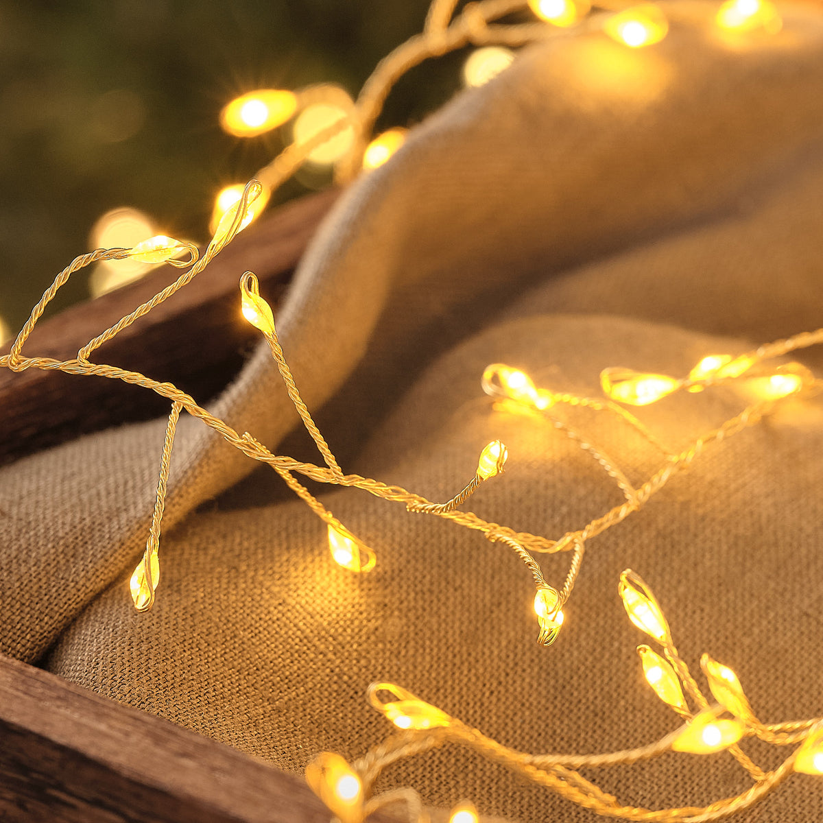 Nahaufnahme der goldfarbenen LED-Cluster-Lichterkette mit warmweißen Mikro-LEDs