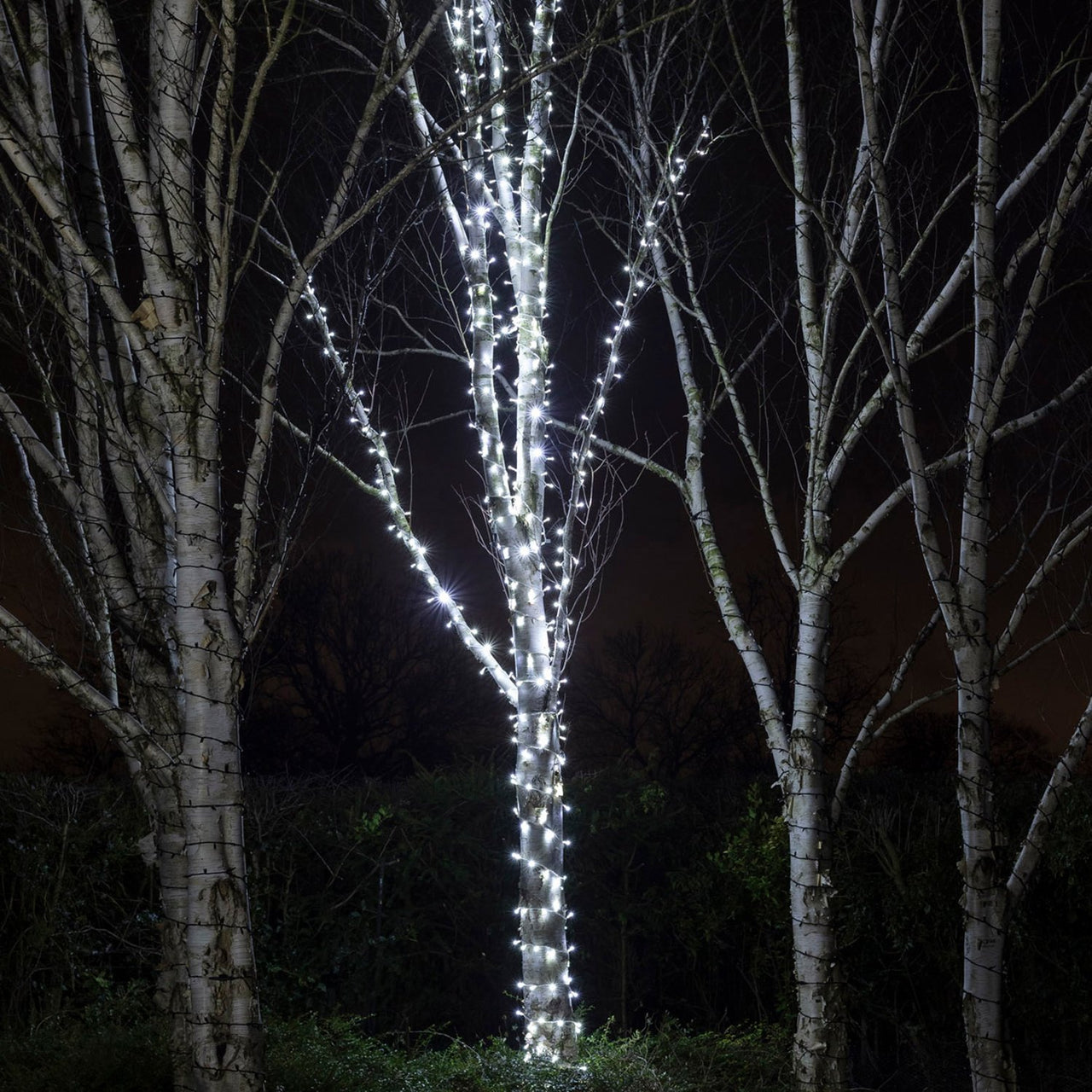 Pro Connect 5m 50er LED Lichterkette weiß koppelbar weißes Kabel IP67
