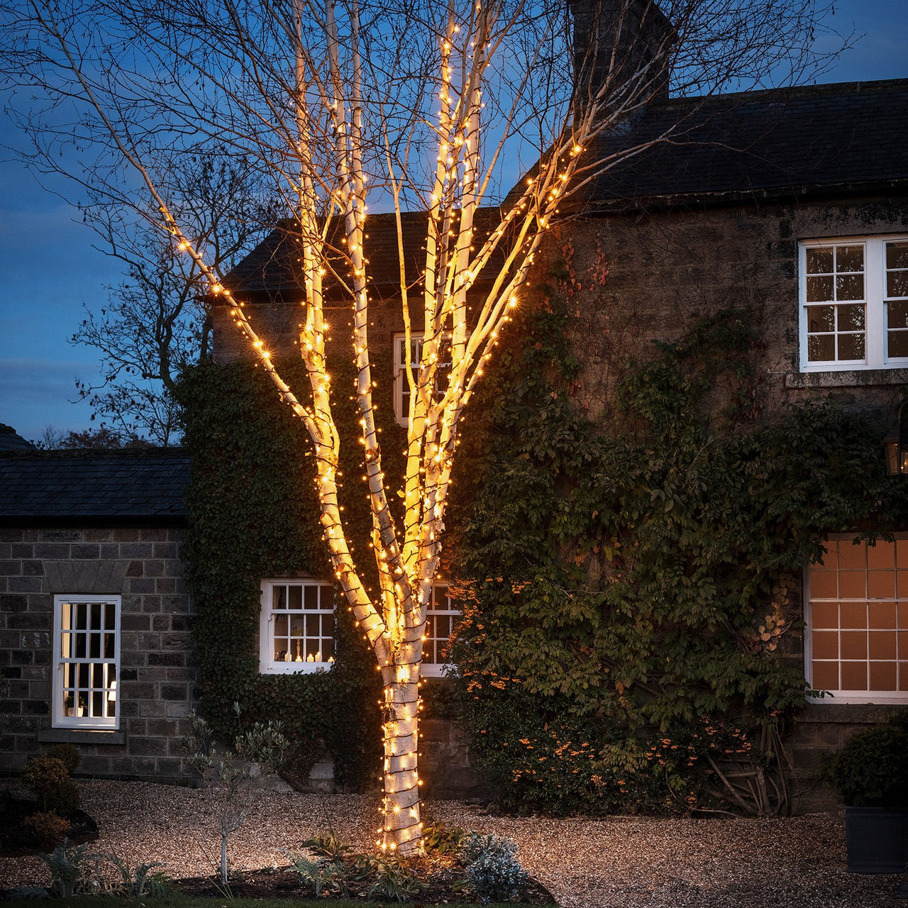 Pro Connect IP67, 5m 50er LED Lichterkette gold warmweiß koppelbar schwarzes Kabel