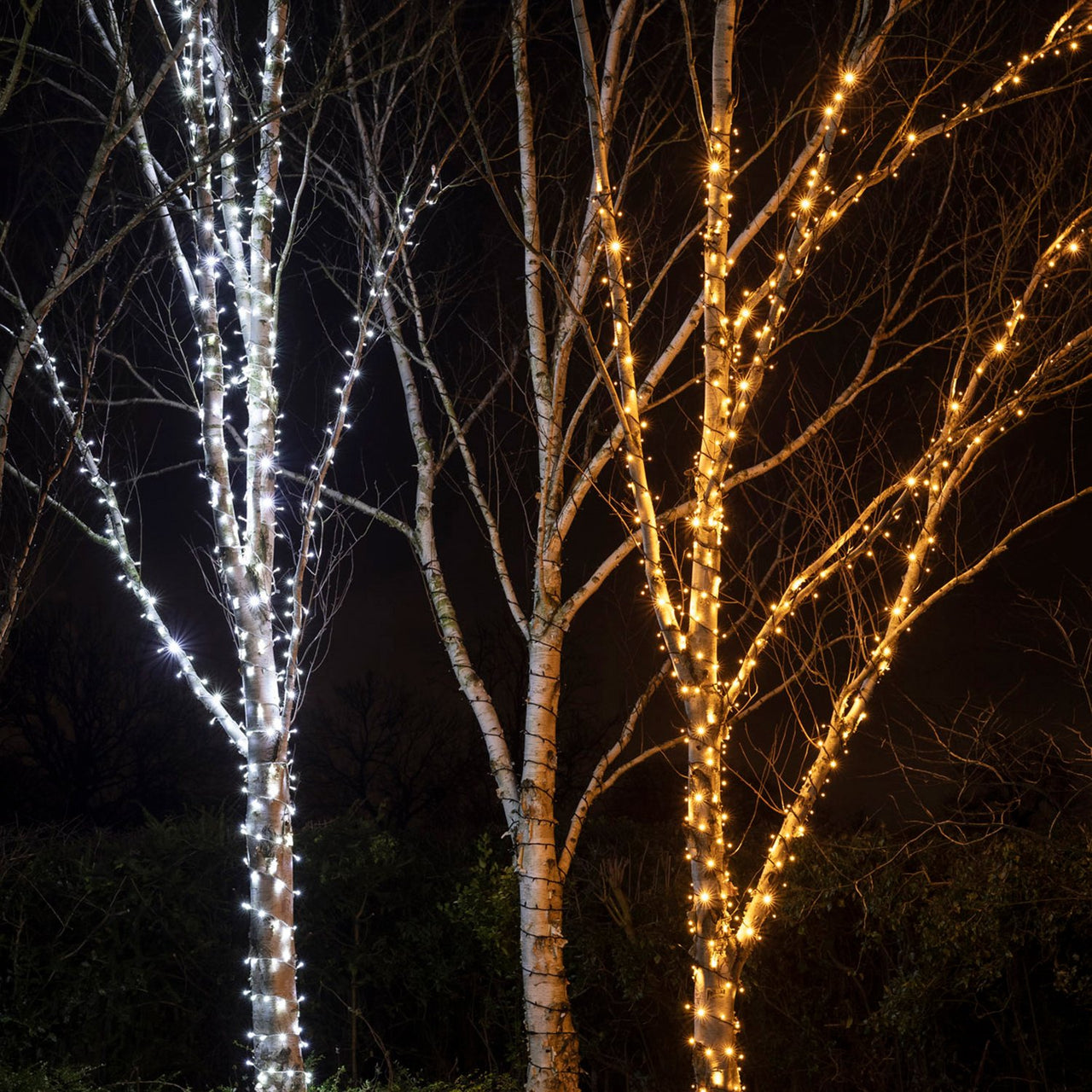Pro Connect IP67, 10m 100er LED Lichterkette gold warmweiß koppelbar schwarzes Kabel