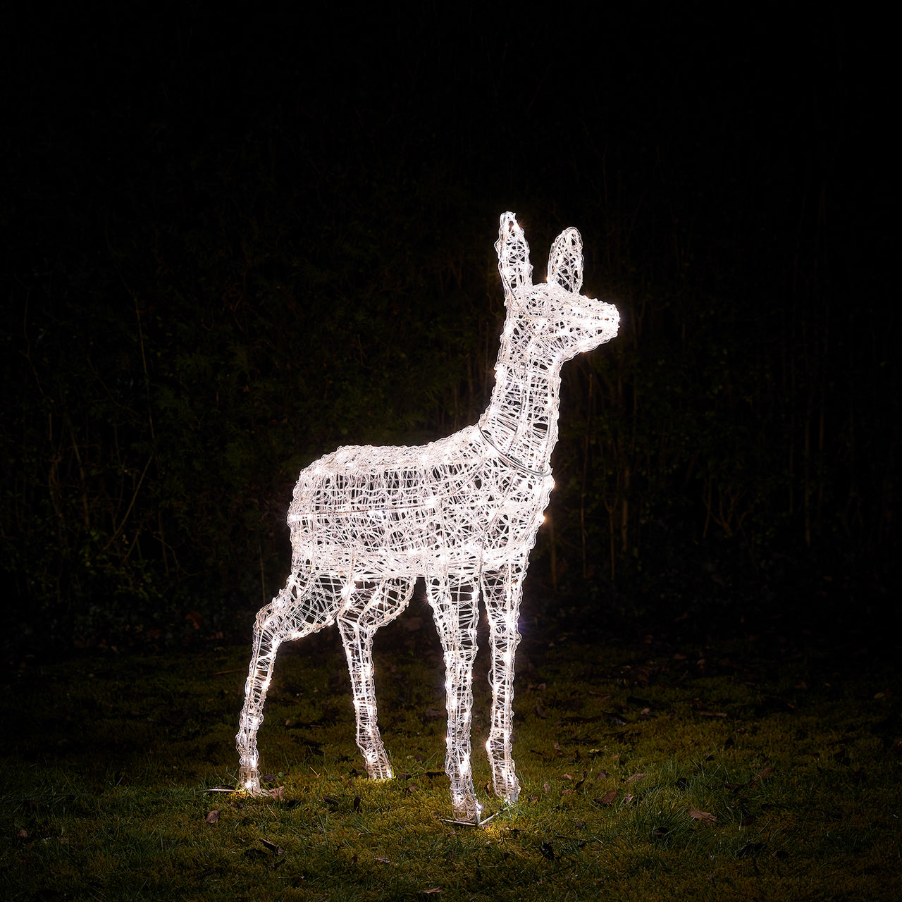 Bicolor LED-Rentier Hirschkuh L Swinsty
