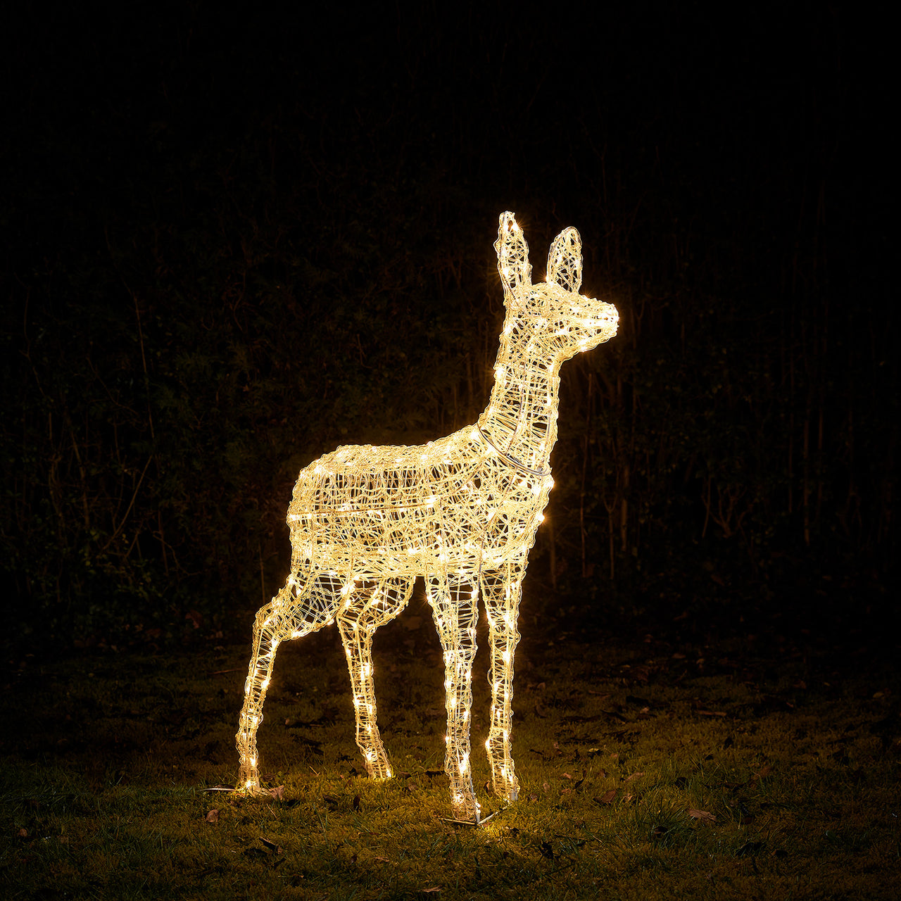 Bicolor LED-Rentier Hirschkuh L Swinsty