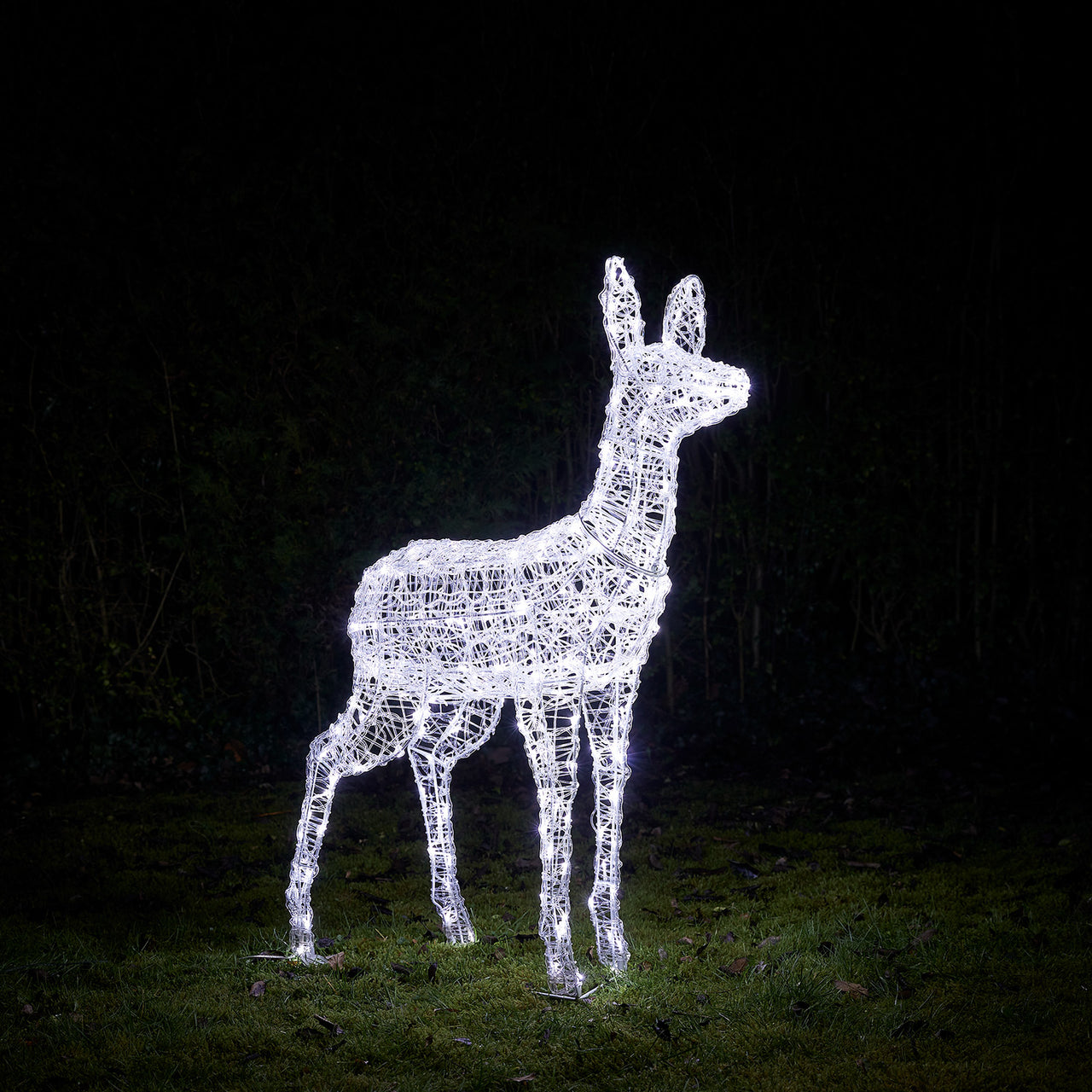 Bicolor LED-Rentier Hirschkuh L Swinsty