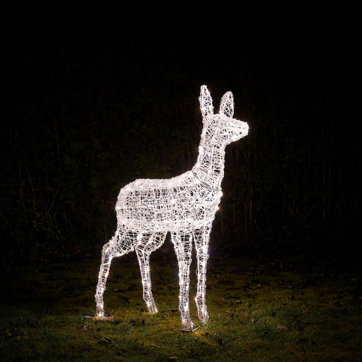Solar-LED-Rentier Hirschkuh Swinsty leuchtet weiß im Garten bei Nacht