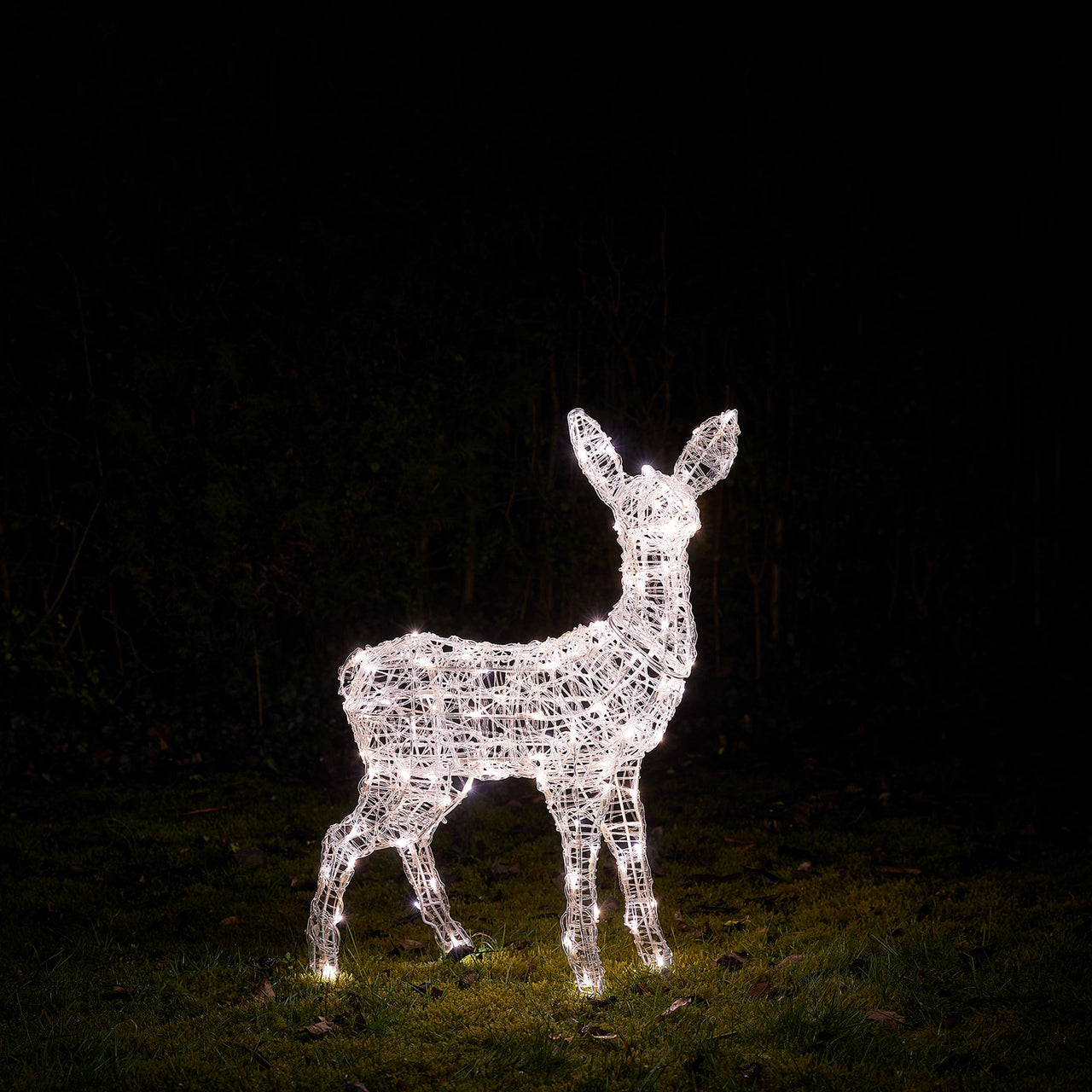 Bicolor LED-Rentier Rehkitz L Swinsty