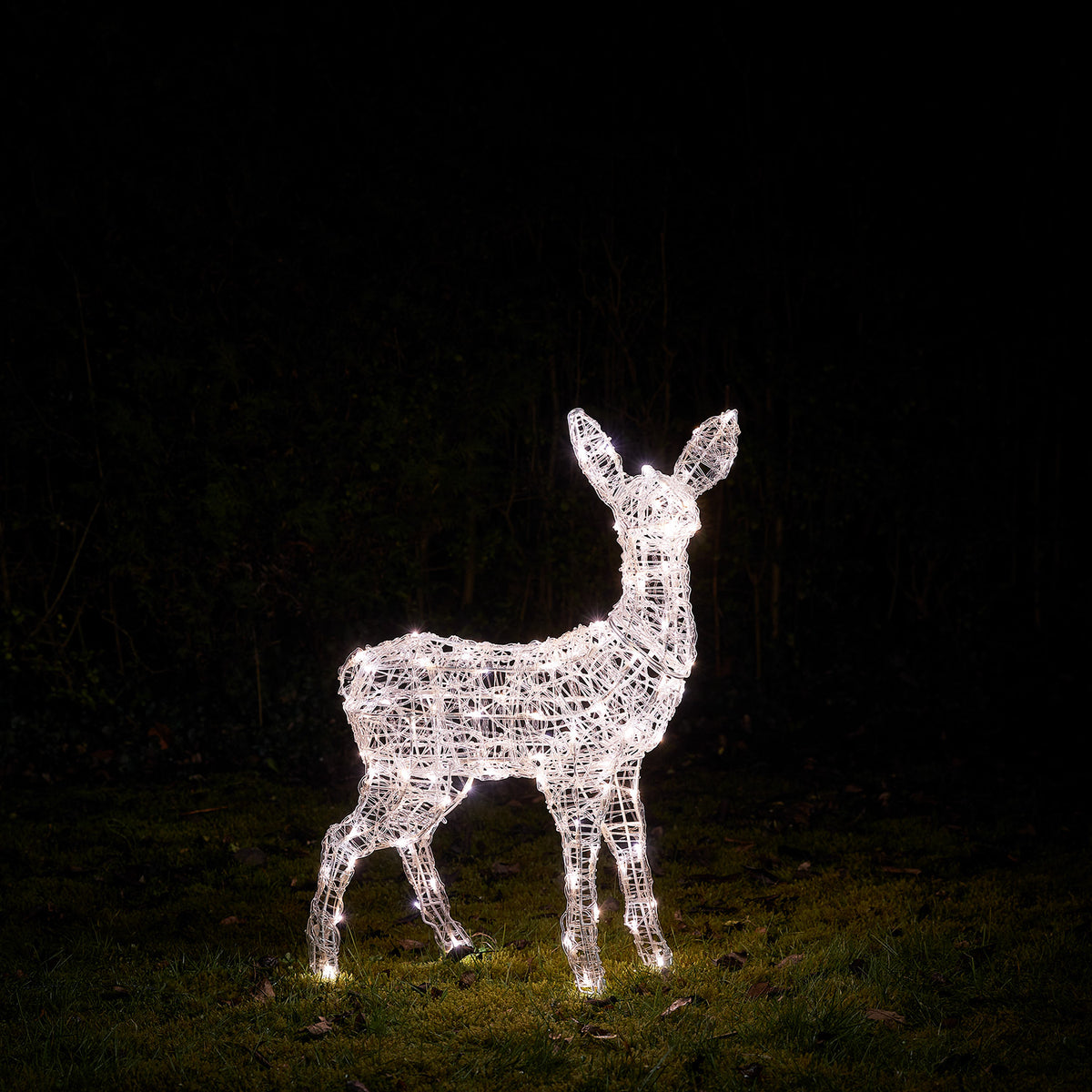 Solar-LED-Rehkitz aus Acryl leuchtet warmweiß im Garten vor dunklem Hintergrund