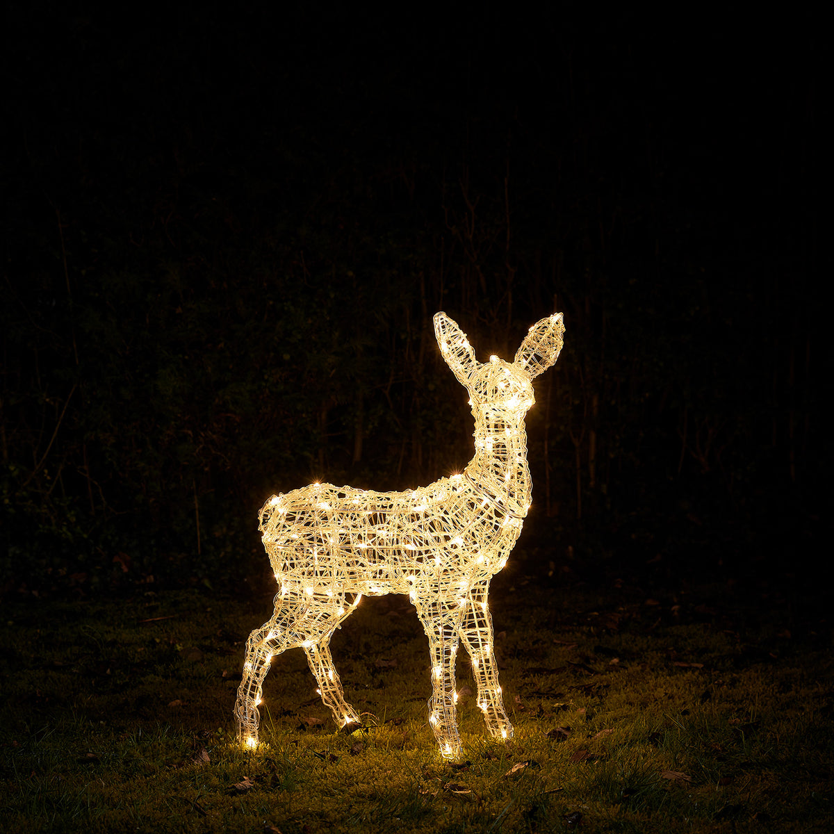 Solar-LED-Rehkitz aus Acryl leuchtet warmweiß in dunkler Gartenumgebung auf Gras